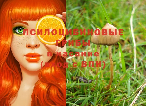 spice Белокуриха