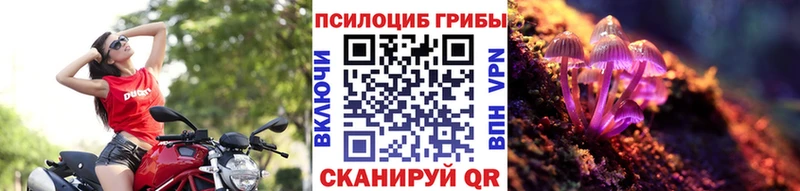 Галлюциногенные грибы MAGIC MUSHROOMS  Болхов 