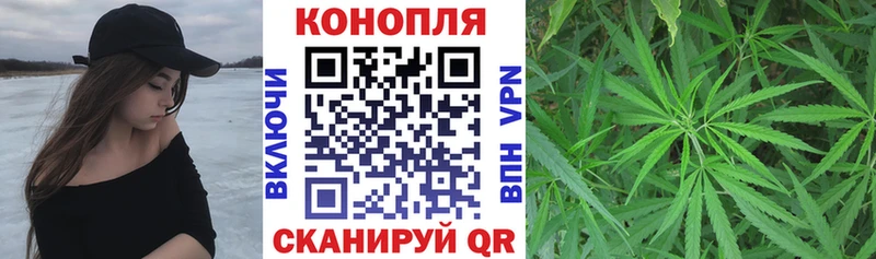 купить закладку  даркнет наркотические препараты  Конопля OG Kush  Болхов 